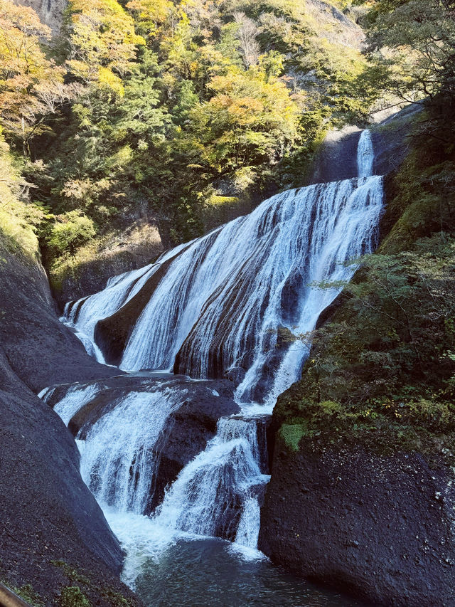 日本🇯🇵袋田瀑布🏞️ 被譽為「日本三名瀑」之一