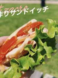 【神奈川】穴場スポット!!無人島であじさい鑑賞❁⃘*.ﾟ