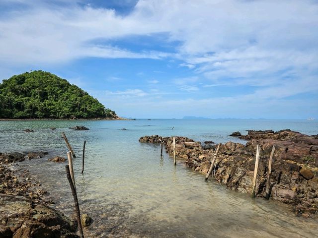 From Bustling Streets to Blissful Shores: Bangkok & Koh Samui Adventures