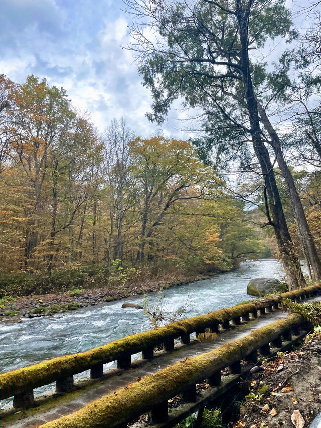【青森】１４kmに及ぶ美しすぎる渓流✨