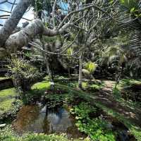 Sacred Waters of Tirta Empul Holy Water Temple