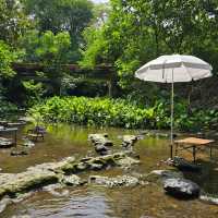 Cozy Cafe Camp คาเฟ่ลับ ลพบุรี 