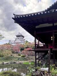 【北九州旅行】 小倉城庭園アフタヌーンティー