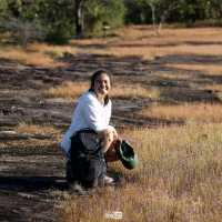 ทุ่งดอกไม้ป่า วนอุทยานน้ำตกผาหลวง อุบลราขธานี