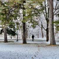 Where Innovation Meets Snow’s Legacy