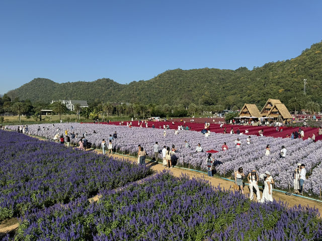 Hokkaido Flower Park 💐
