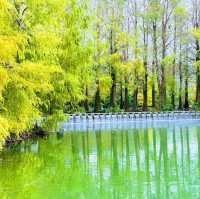 花蓮雲山水夢幻湖