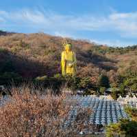 충북 음성 가을 여행 스팟 추천