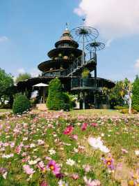  คาเฟ่ทุ่งดอกไม้ : Lapuné Cafe and Scene