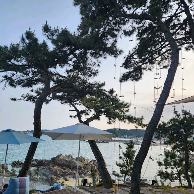 "부산, 힐링과 맛이 넘친 여행 이야기"