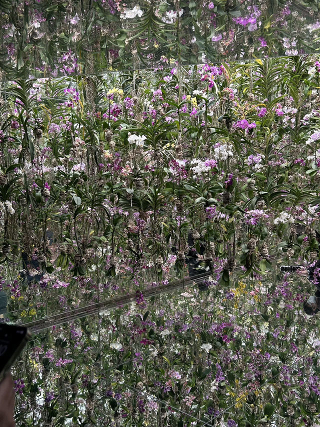 5 เรื่องต้องรู้ก่อนไป teamlab planet