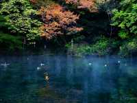 【栃木県】栃木版モネの池！？「出流原弁天池」