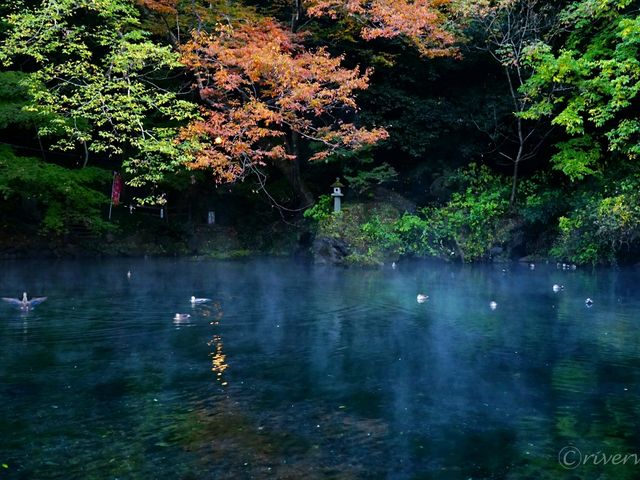 【栃木県】栃木版モネの池！？「出流原弁天池」