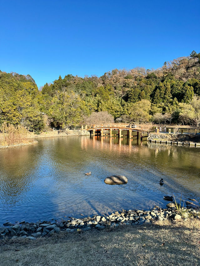 【福島　いわき：白水阿弥陀堂】