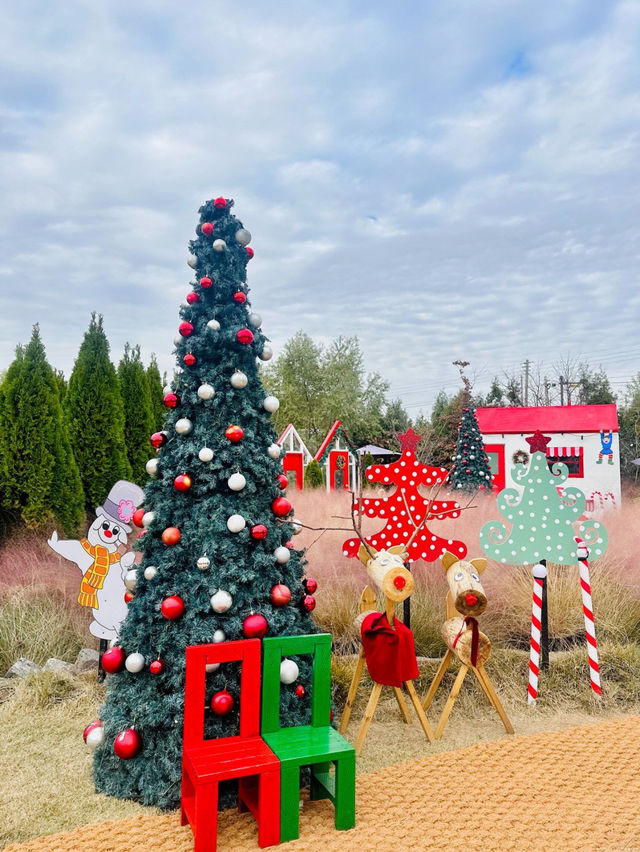 🥳🧸🤍전주 근교 대형카페 오늘 여기