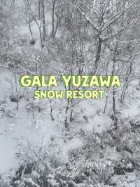 Gala yuzawa Snow resort
