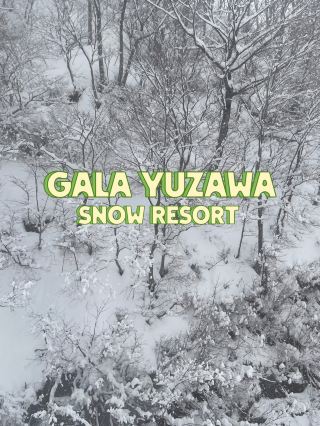 Gala yuzawa 雪場