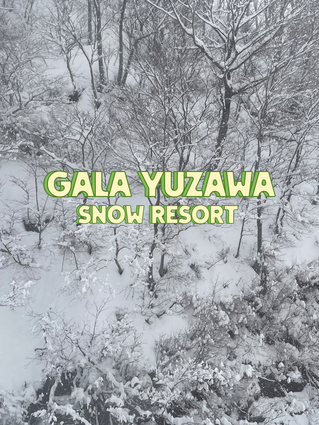 Gala yuzawa Snow resort