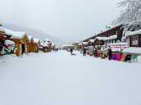 การเดินทางมา Snow Town จากตัวเมือง ฮาร์บิน