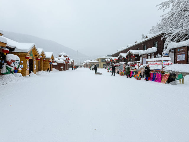 การเดินทางมา Snow Town จากตัวเมือง ฮาร์บิน