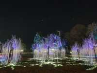 Charming Chiangmai Flower Festival