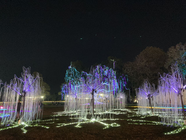 Charming Chiangmai Flower Festival