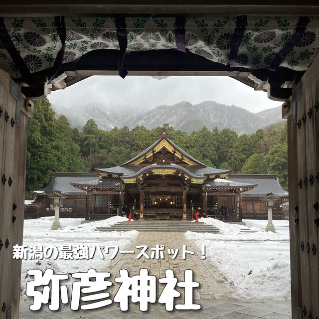 【新潟🌾】新潟の最強パワースポット⛩️