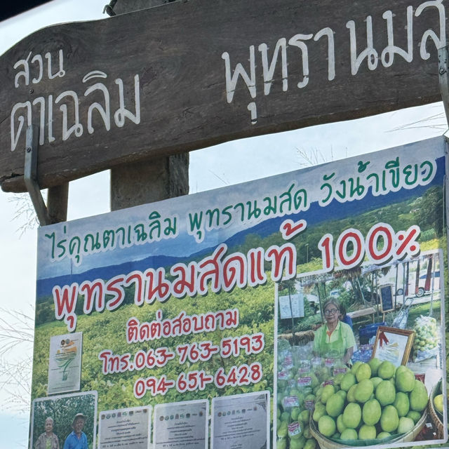 สวนพุดซานมสดของแทร่ วังน้ำเขียว🍏