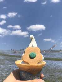 【茨城　国営ひたち海浜公園】