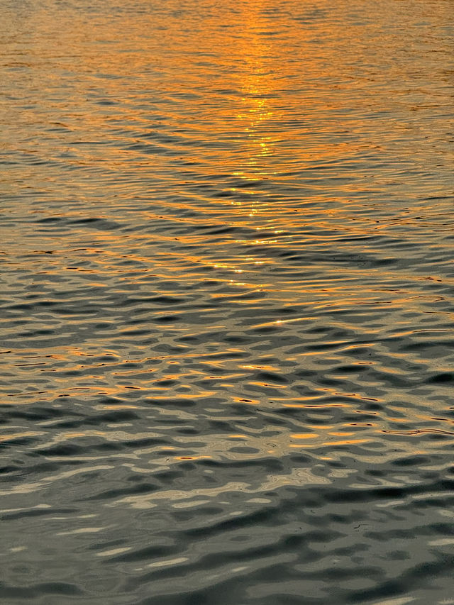 พายซัพบอร์ดชมเหยี่ยว | จ.จันทบุรี 🏄🏻‍♂️🌳🌤️🦅