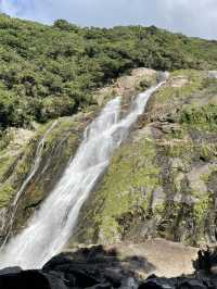  【屋久島】一生に一度は訪れたい！神秘の自然と感動の旅