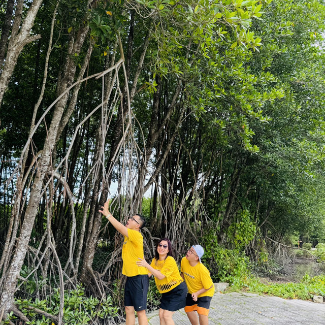 Ca Mau Primeval forest park 