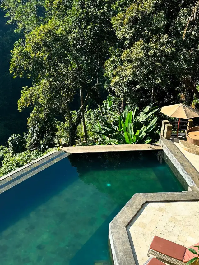 우붓 가성비 최고 숙소 ✔️