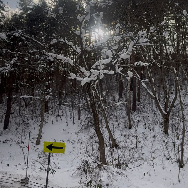 Winter Ski in Shiga Kogen Japan