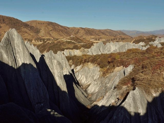 Flaring Rock Forest [Moshi Park in Autumn]