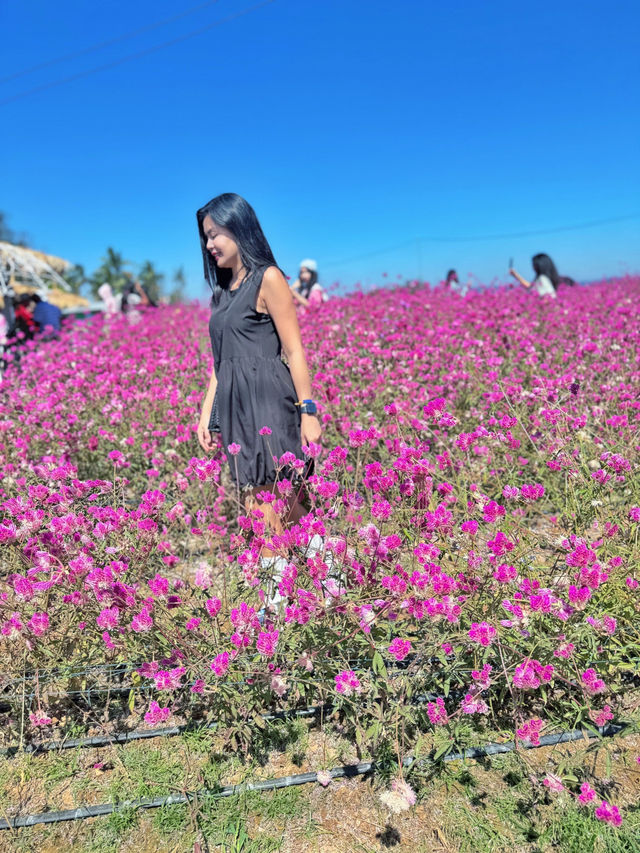 วังน้ำเขียว