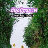 ช่องมิตรภาพชายแดนไทย-พม่า​ 🏞️