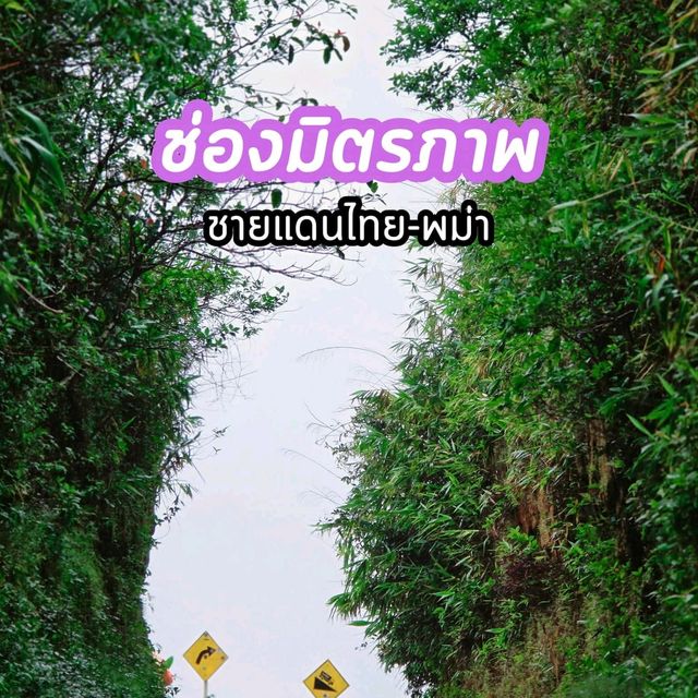 ช่องมิตรภาพชายแดนไทย-พม่า​ 🏞️