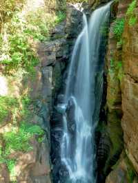 Iguazú National Park..이과수 하이킹..
