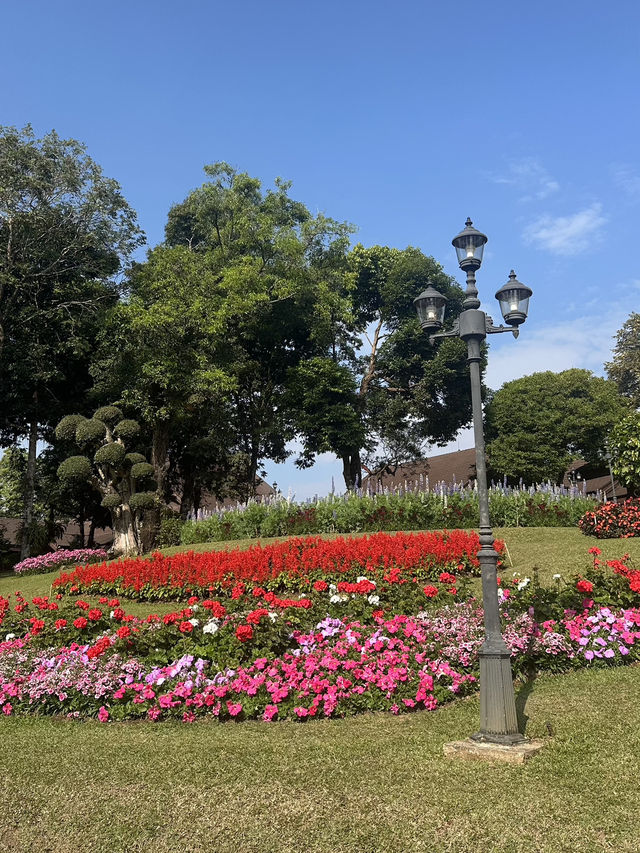 I was AMAZED by the Beauty of Chiang Rai Temples!