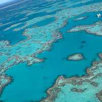 Soaring Above and Diving Below: My Spectacular Day at the Great Barrier Reef!