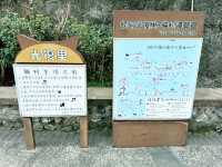 🐾 猴硐貓村：心靈的洗滌之旅 🌿