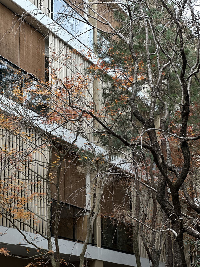Kyoto | Experience Luxury Hotel at Six Senses Kyoto