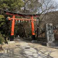 Kyoto was absolutely stunning and wins the hearts of millions