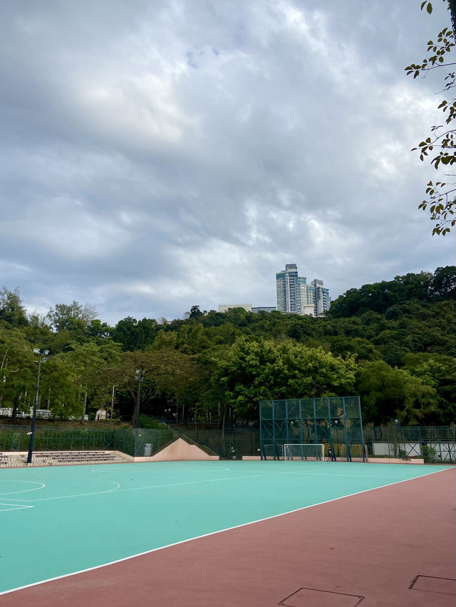 🏝️😎如熱帶雨林般的「城門谷公園」｜香港賞花拍照好地方🔥🏞️