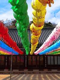 韓國大邱_秋意必訪 桐華寺Donghwasa Temple
