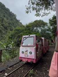 Wulai Scenic Train: A Tranquil Journey Through Lush Mountains and Stunning Landscapes