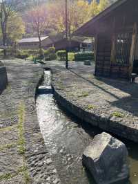 【長野】檜の太鼓橋が見れる道の駅