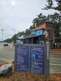 넓은 해변과 오토캠핑장이 있는 해수욕장💙