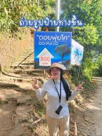 ดอยพุ่ยโค 800ม. ไม่เหนื่อย ตีปากนะ!!